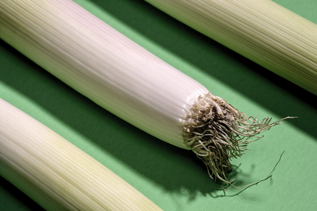 Leeks with visible root ends placed diagonally on a textured green background in sunlight
